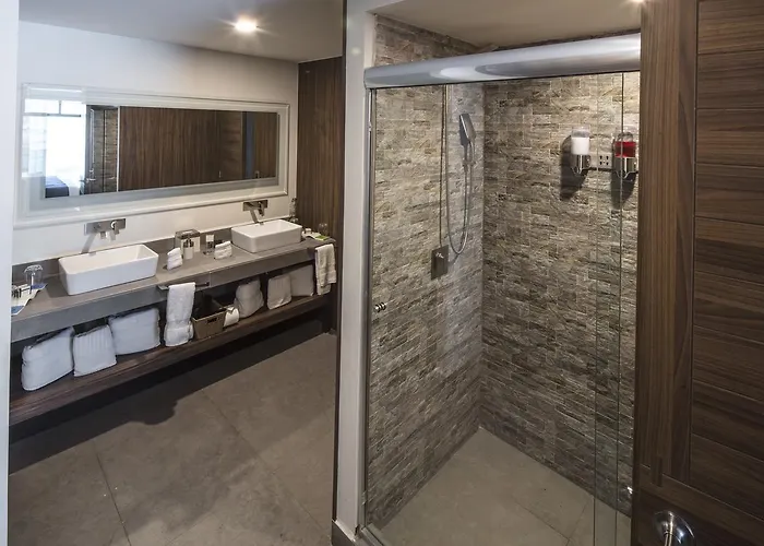 Aparthotel Flowsuites Wtc Città del Messico